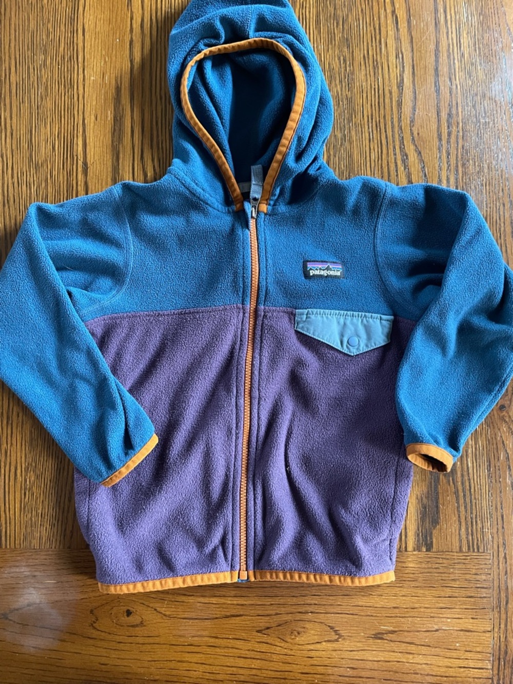 Patagonia Kids Blue & Purple Hooded Fleece